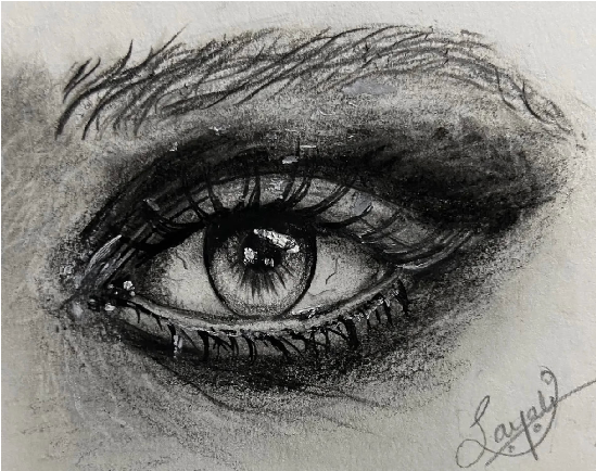 Sketch study